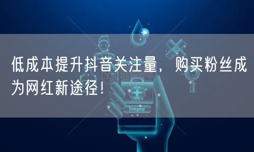 低成本提升抖音关注量，购买粉丝成为网红新途径！