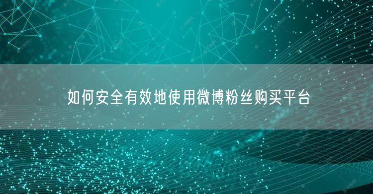 如何安全有效地使用微博粉丝购买平台