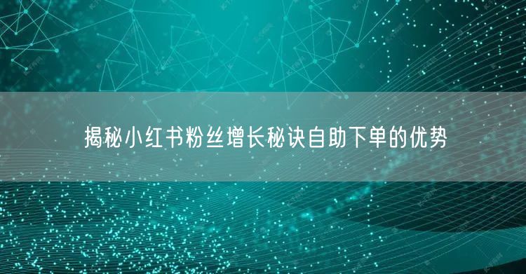 揭秘小红书粉丝增长秘诀自助下单的优势