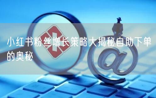 小红书粉丝增长策略大揭秘自助下单的奥秘