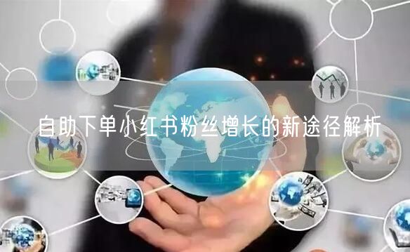 自助下单小红书粉丝增长的新途径解析