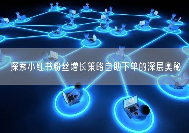 探索小红书粉丝增长策略自助下单的深层奥秘
