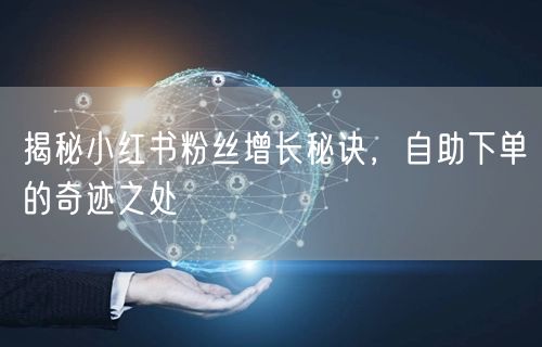 揭秘小红书粉丝增长秘诀，自助下单的奇迹之处