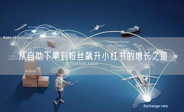 从自助下单到粉丝飙升小红书的增长之道