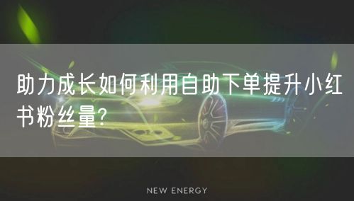 助力成长如何利用自助下单提升小红书粉丝量?