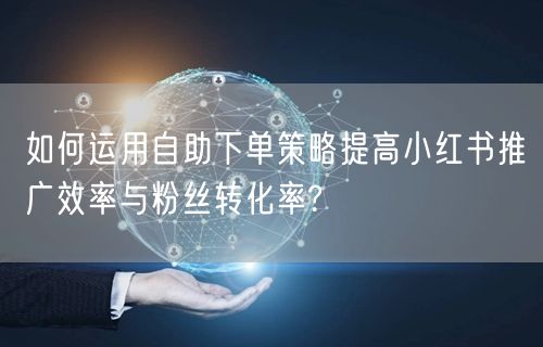 如何运用自助下单策略提高小红书推广效率与粉丝转化率?