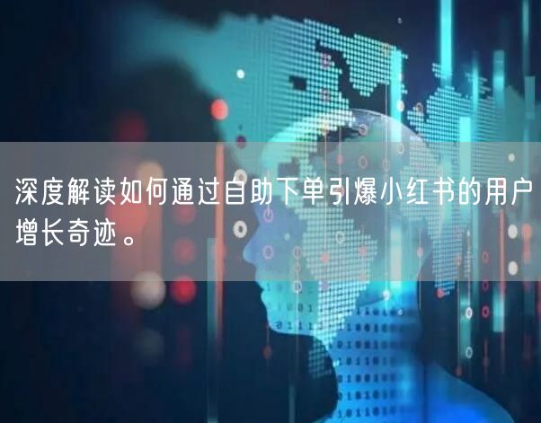 深度解读如何通过自助下单引爆小红书的用户增长奇迹。