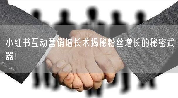 小红书互动营销增长术揭秘粉丝增长的秘密武器！